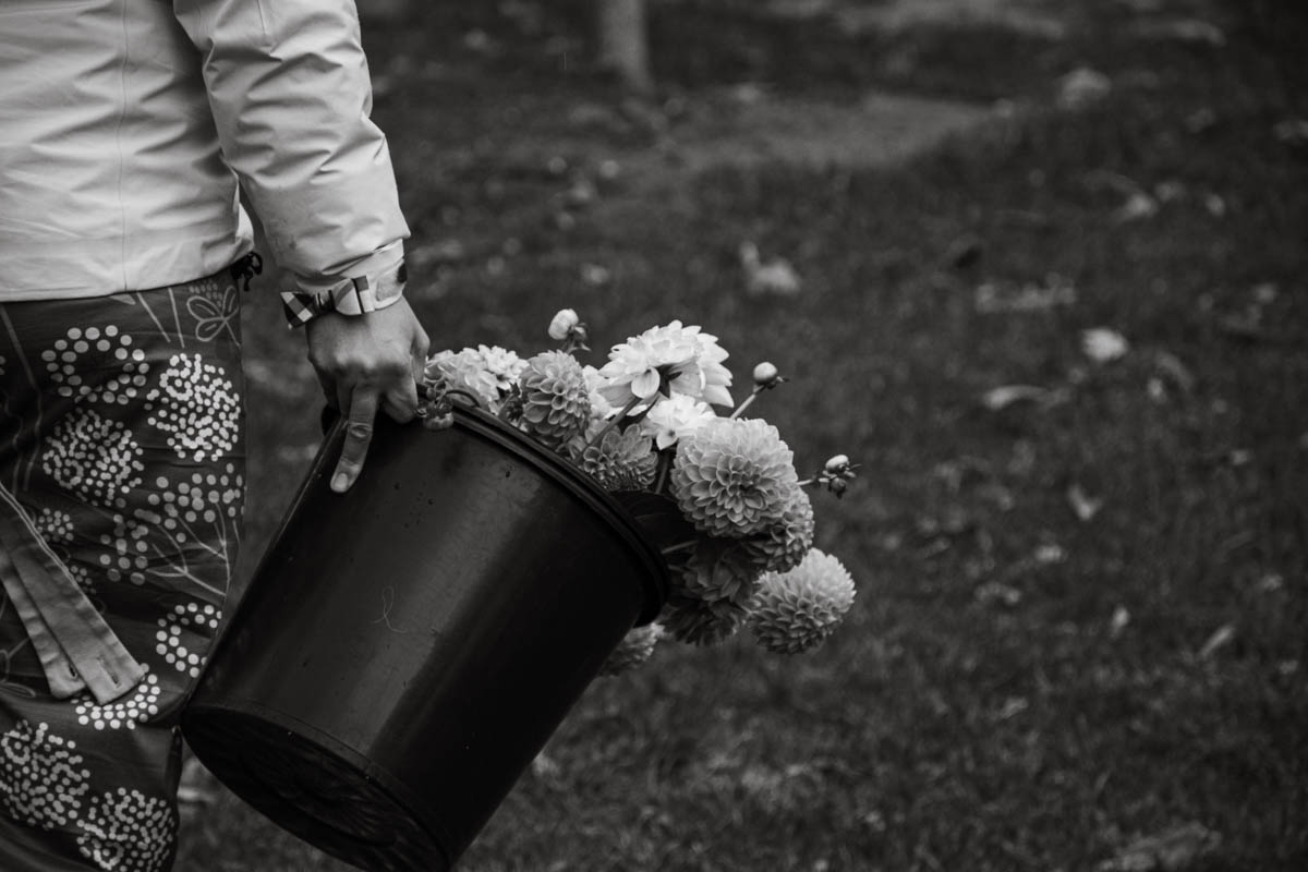 Sylvia carrying a bucket of flowers harvested on the same morning.