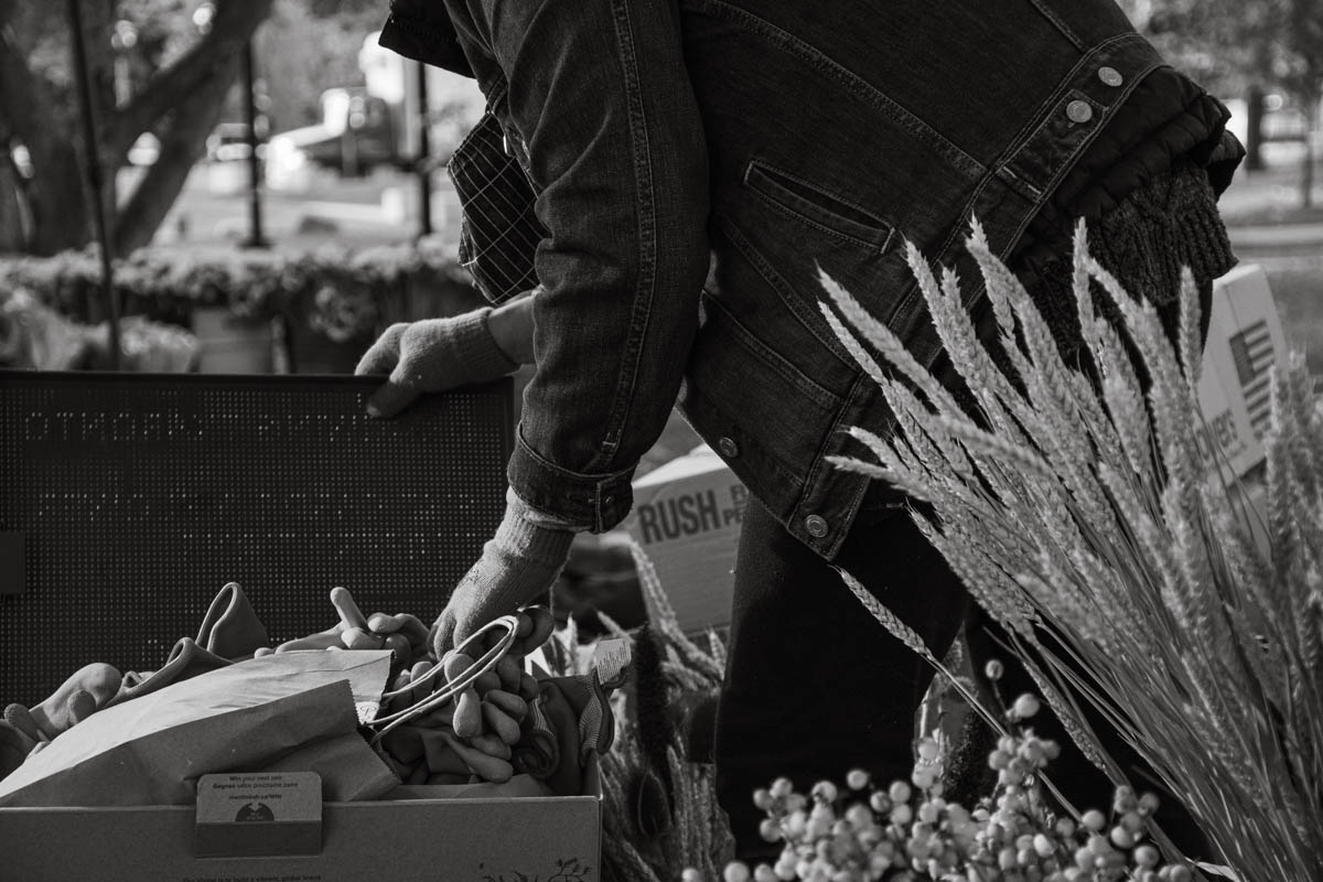 Florist looks for something in a box.