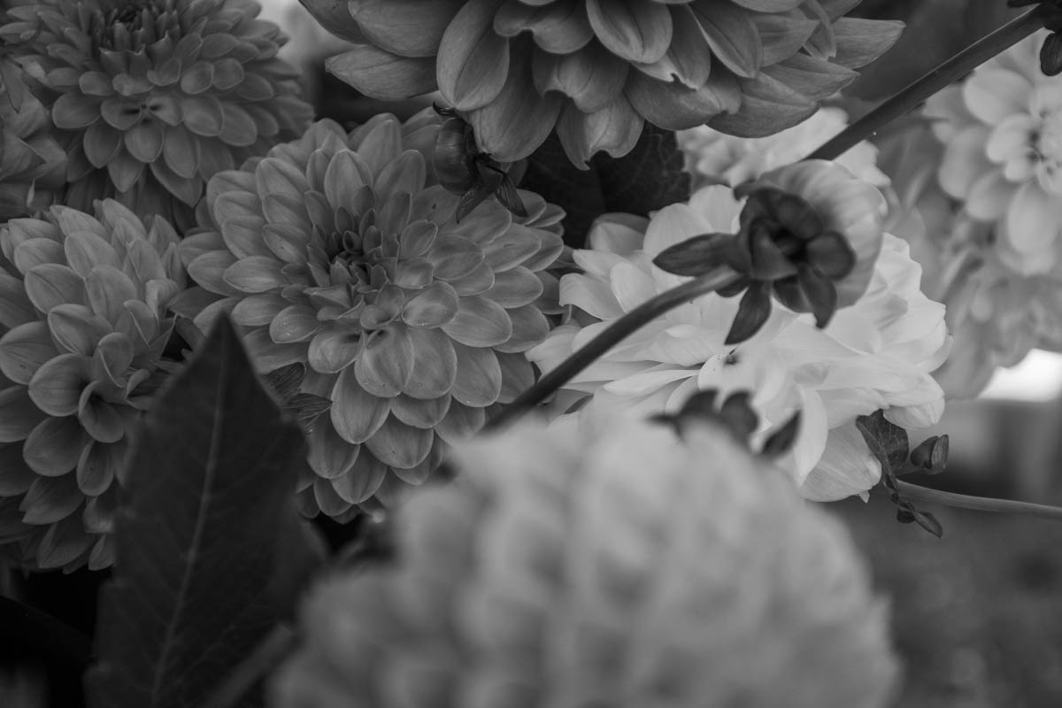 Flowers harvested on the same morning.