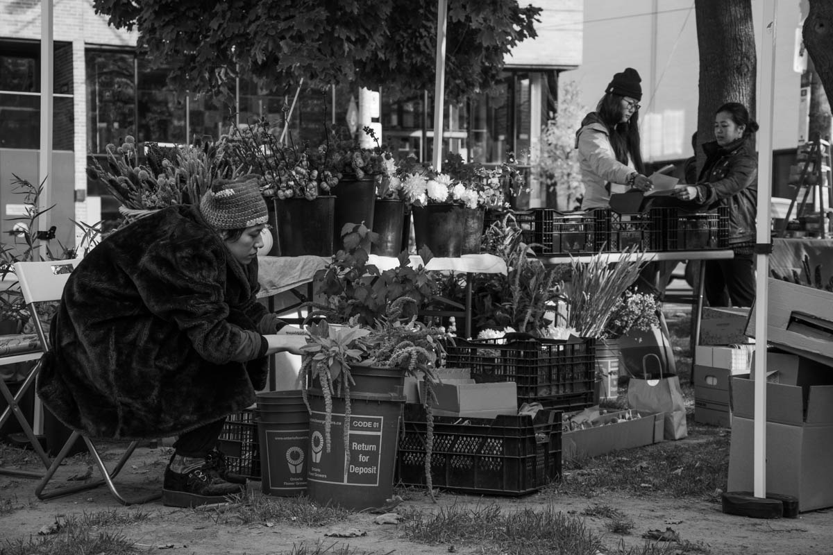 Florist trimming some plants, while Sylvia and her friend are checking other products.